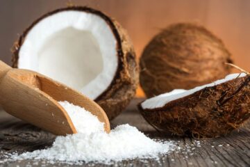 jenis mesin pengolahan kelapa desa