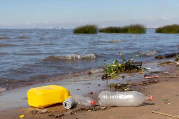 Informasi Polusi Plastik Terhadap Ekosistem