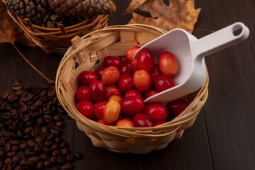 metode fermentasi biji kopi