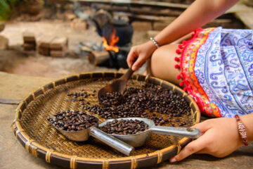 cara mengolah biji kopi