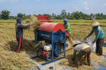 Keunggulan mesin power tresher