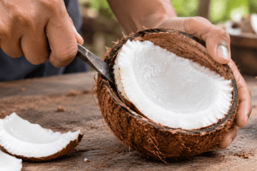 cara mengambil daging kelapa