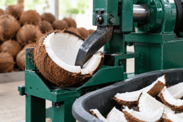 proses pengerukan daging kelapa