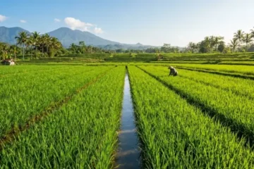 cara kerja mesin pemotong padi
